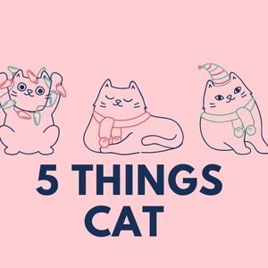 For You Not Your Cat